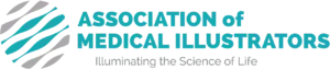 ami color logo